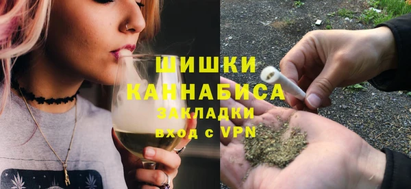 PSILOCYBIN Белокуриха