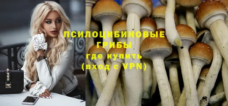 Галлюциногенные грибы Magic Shrooms  mega сайт  Конаково 